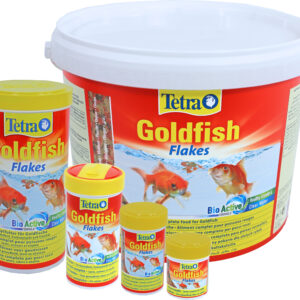 TETRA GOLDFISH