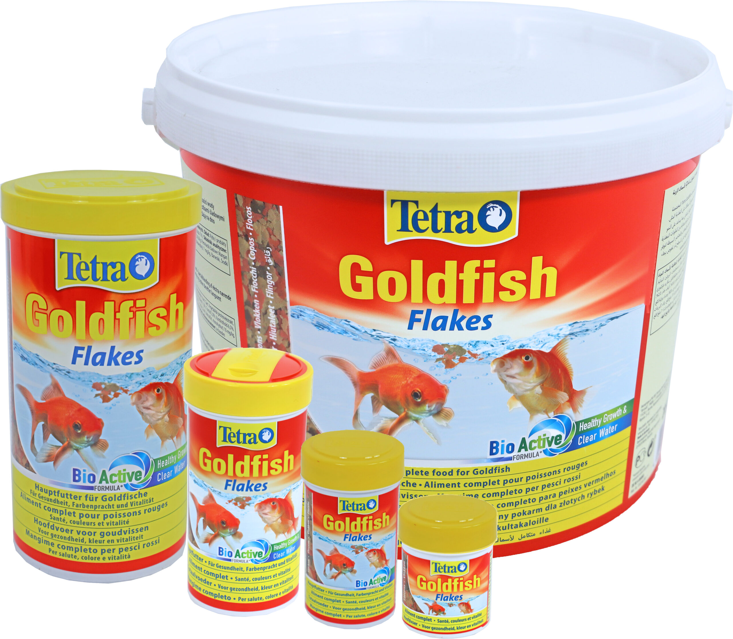 TETRA GOLDFISH