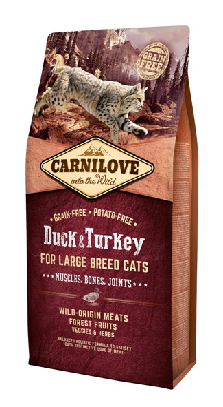 CARNILOVE CAT DUCK & TURKEY LARGE BREED