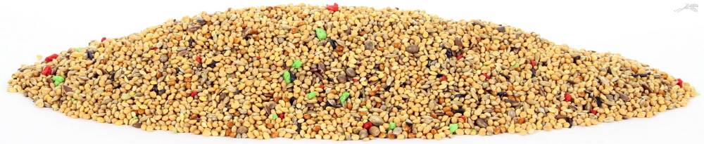 TIJSSEN TROPISCH ZAAD