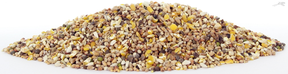 TIJSSEN TORTELDUIVENVOER