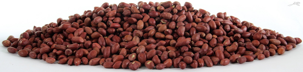 TIJSSEN PINDA'S GEPELD