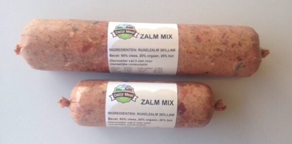 DAILY MEAT ZALM MIX