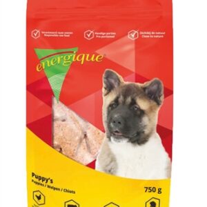 ENERGIQUE NR. 2 PUPPY
