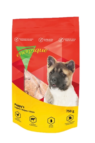 ENERGIQUE NR. 2 PUPPY